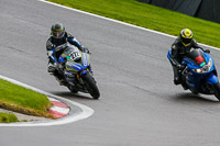 Lower Group Silver_Grey Bikes